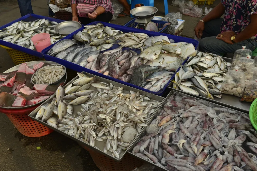 ที่เที่ยวชะอำ หัวหิน ห้ามพลาดแนะนำไปได้ทั้งวัน-กลางคืน ที่เที่ยวชะอำ หัวหิน ห้ามพลาดแนะนำไปได้ทั้งวัน-กลางคืน